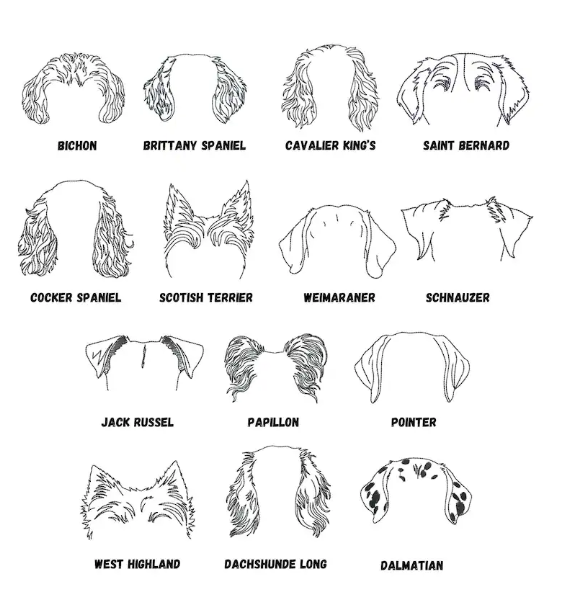 DOG EAR CUSTOM EMBROIDERED SWEATSHIRT